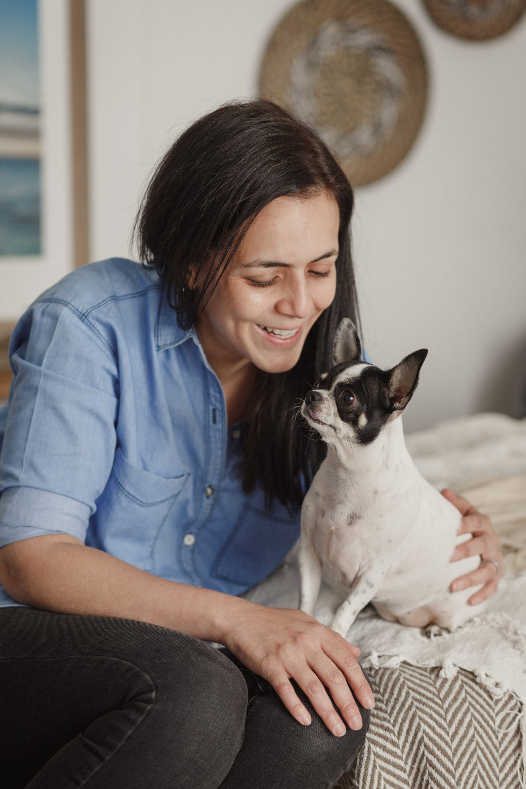 chihuahua con su dueña fotografiado por un retratista animal