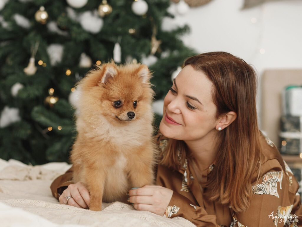 fotografía de perros sesión navideña pomeranian zwergspitz