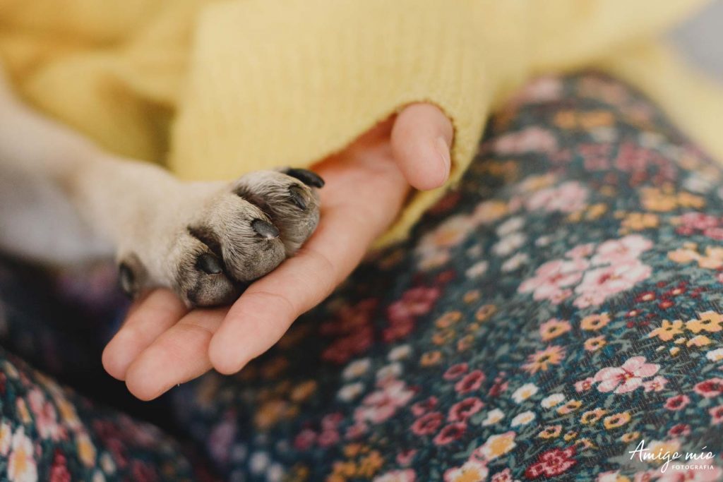 mano de una chica y una pata de un carlino