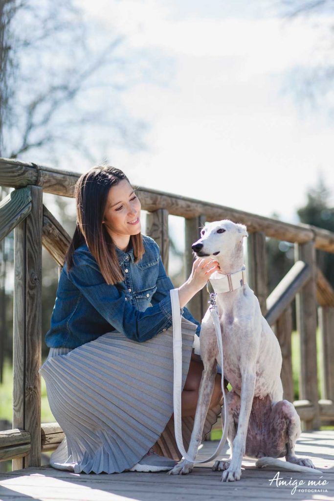 la galga Gala se deja acariciar por su madre perruna Sara