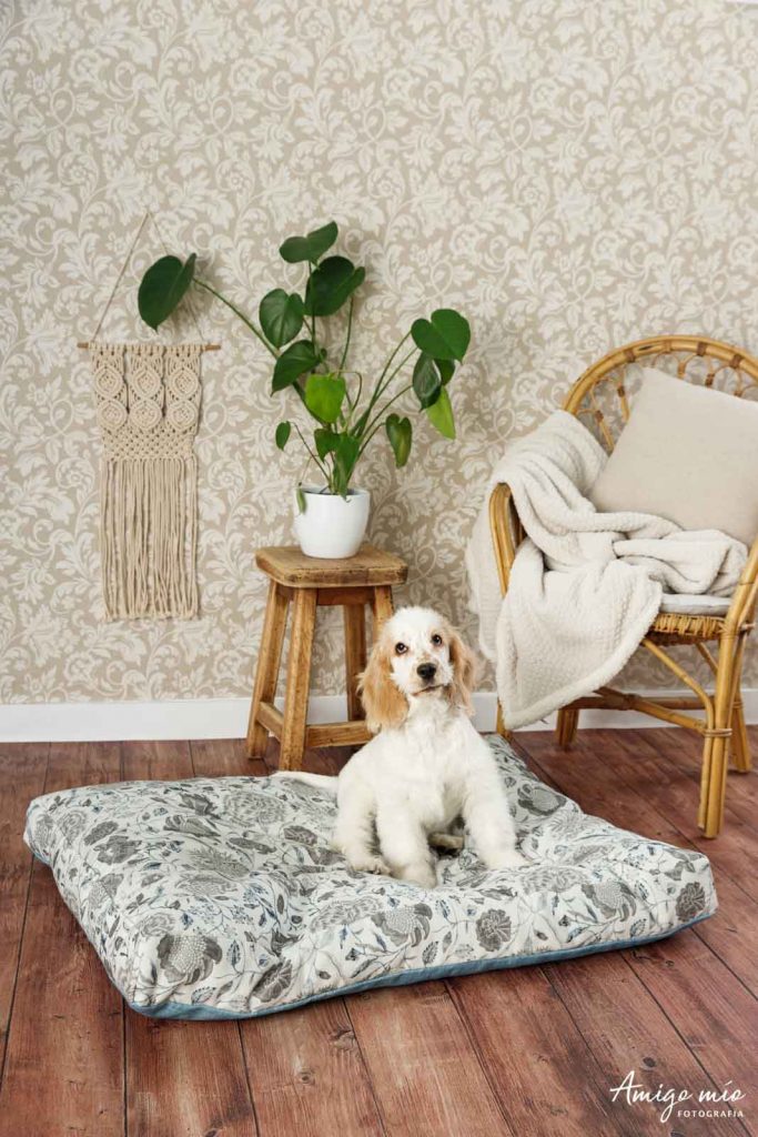 cama ecológica con un perro tumbado