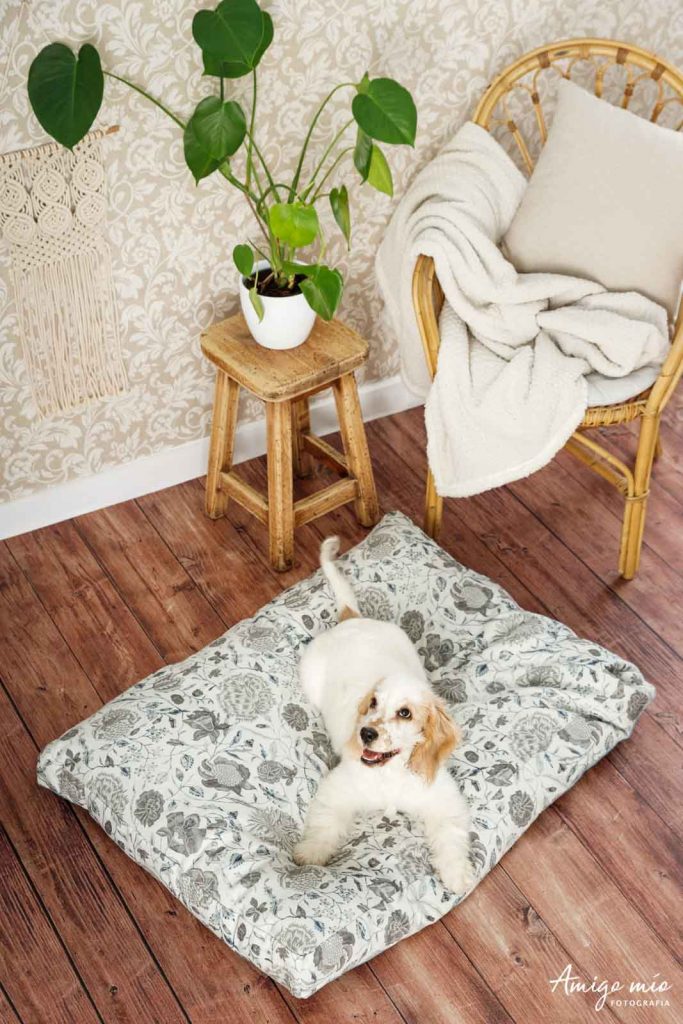 cama de life vegan pets con un perro sonriendo