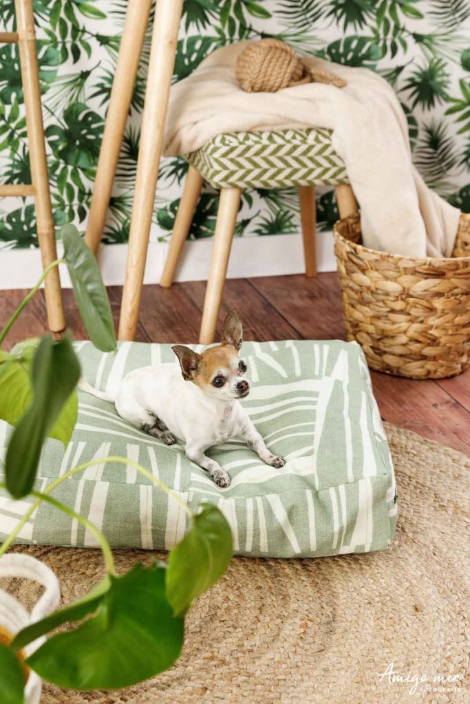 cama de life vegan pets con un chihuahua tumbado