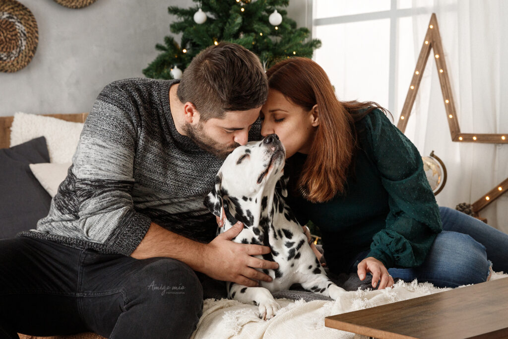 fotografía de perros sesión navideña 2022 dalmata